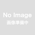 ������̵���ۥΡ����ء����������å���(NORTH X ICE AXE) - �����(salewa)